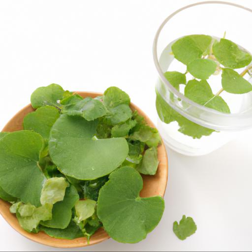 Nutritional value of nasturtium officinale