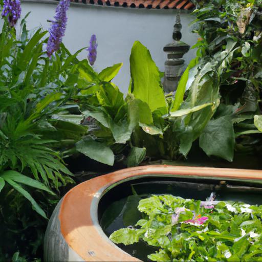 Benefits of having a pond in a shady garden