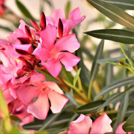 Benefits of nerium oleander: how can it help your health