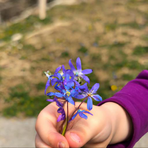 Benefits of picking flowers in march