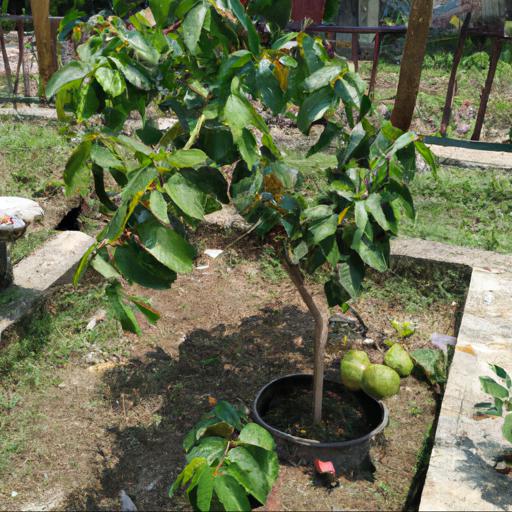 Benefits of planting fruit trees and bushes