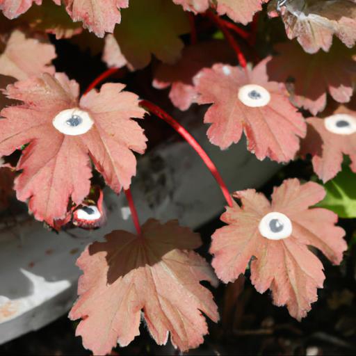 Common problems with heuchera fire alarms