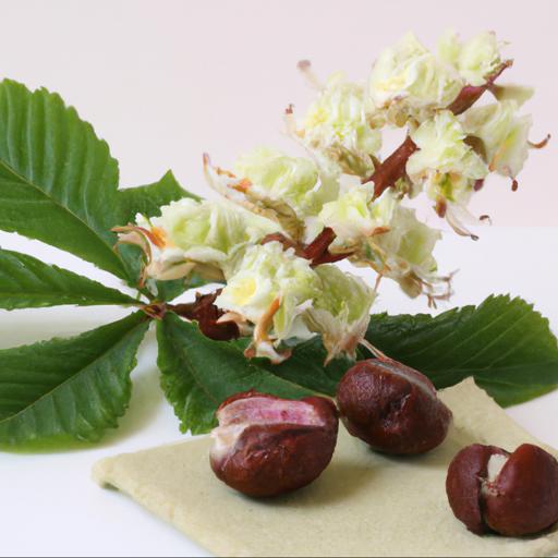 Common uses of aesculus parviflora