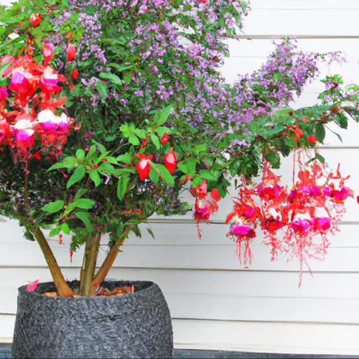 Decorating with fuchsia genii: creative ideas for home and garden