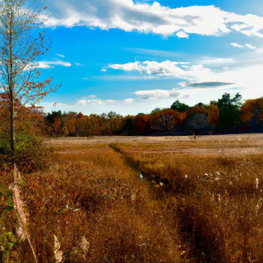 Exploring the natural beauty of longmeadow in autumn