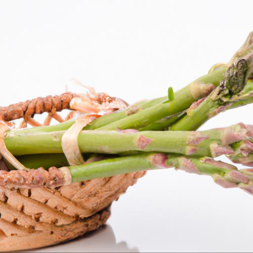 Nutritional benefits of asparagus officinalis