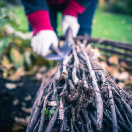 Preparing your garden for winter