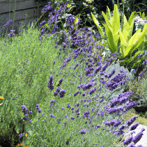 Tips for growing scented plants in july