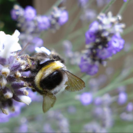 Tips for making your garden bee friendly