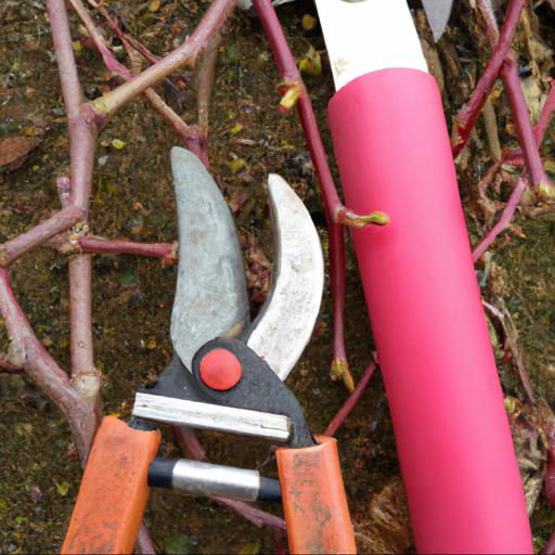 Tools and materials needed for pruning bush fruit