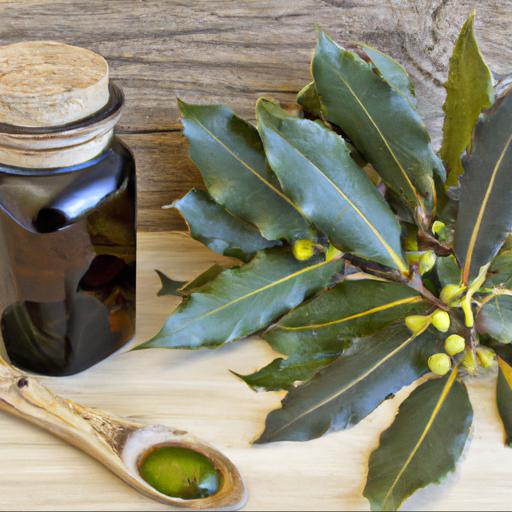 Uses and benefits of laurus nobilis