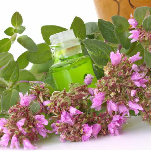 Uses of origanum majorana