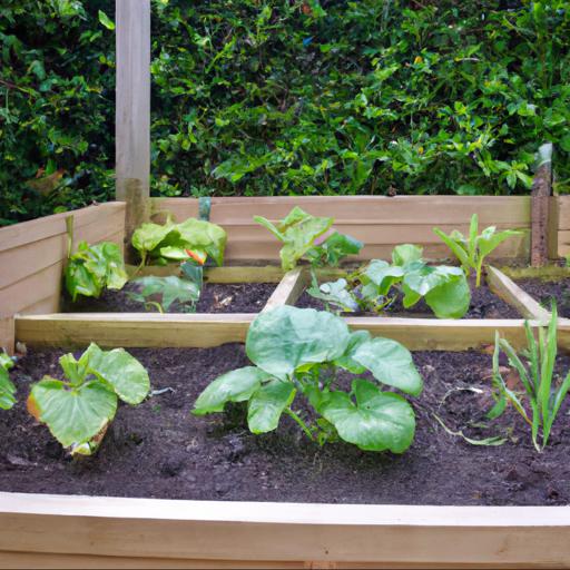 Benefits of growing space saving veg crops