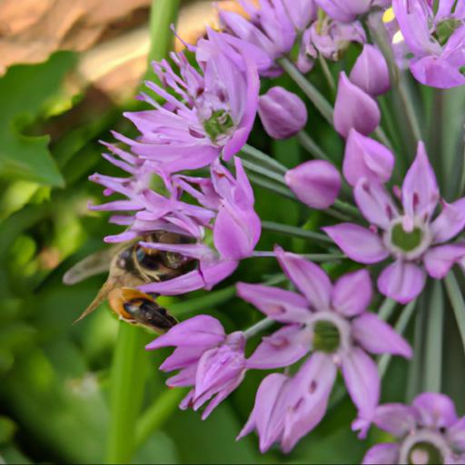 Benefits of having garden bees