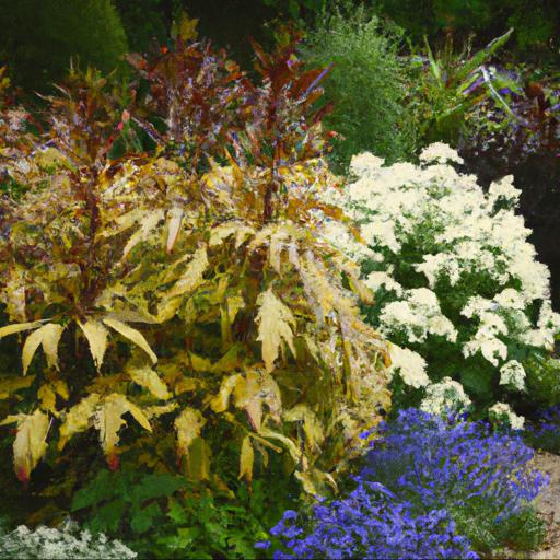 Benefits of plant combinations for spring colour