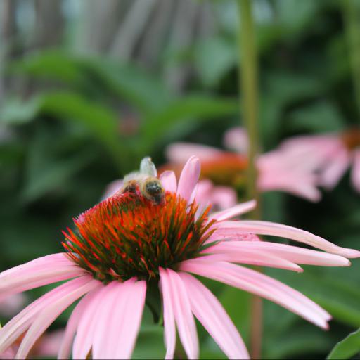 Benefits of planting flowers for bees