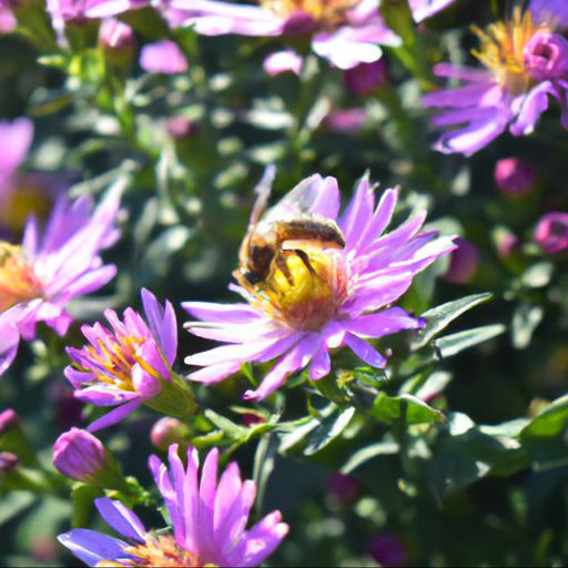 Benefits of planting flowers for honeybees