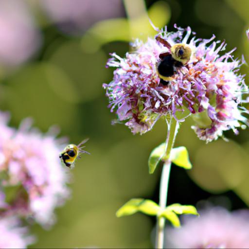 Benefits of planting late summer nectar plants