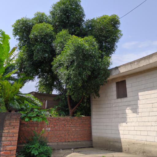 Benefits of planting trees near houses