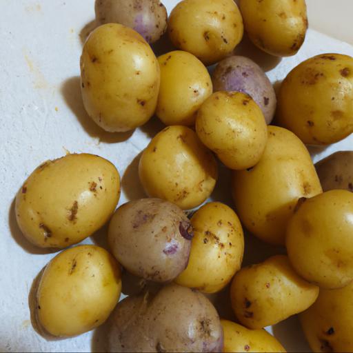 Cooking with solanum tuberosum lady christl