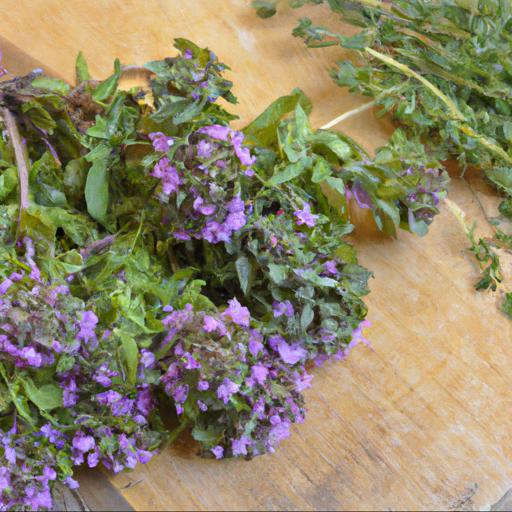 Cooking with thymus vulgaris: recipes and ideas