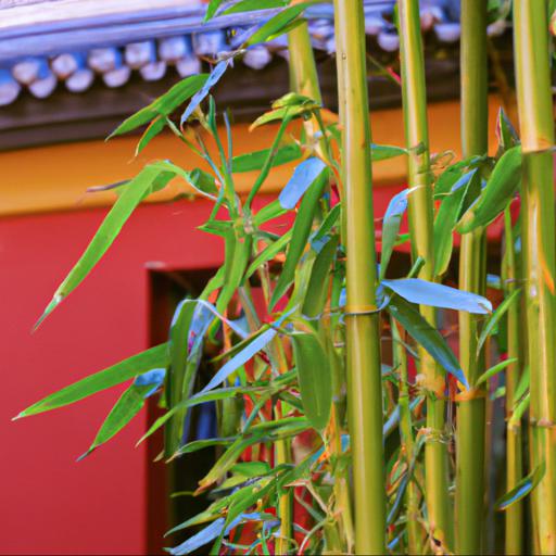 History and significance of phyllostachys aureosulcata lama temple