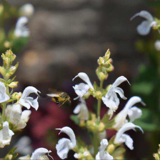 How to attract garden bees to your garden