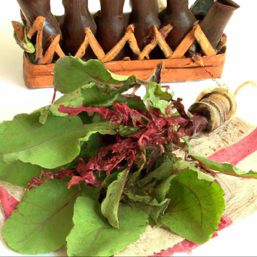 Medicinal uses of rumex sanguineus