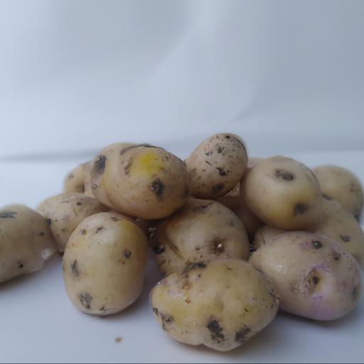 Nutritional benefits of solanum tuberosum maris piper