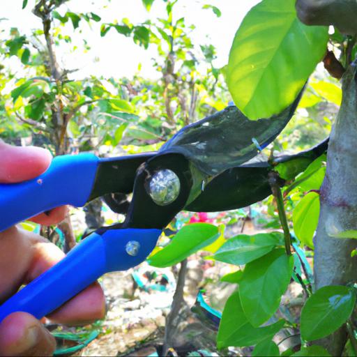 Pruning techniques for each plant