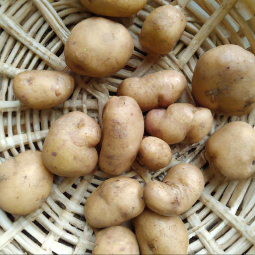 The best potato varieties to grow