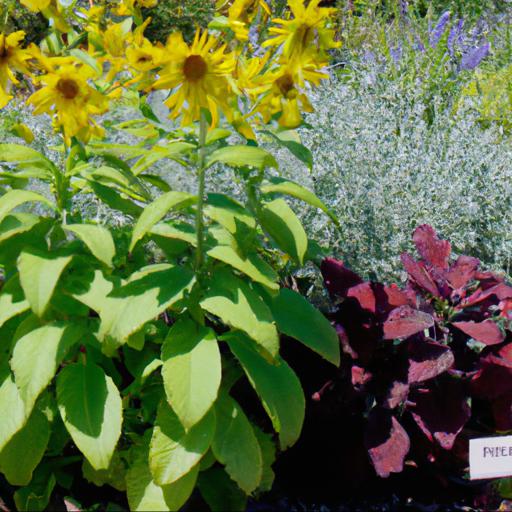 Tips for choosing the right plant combinations for full sun