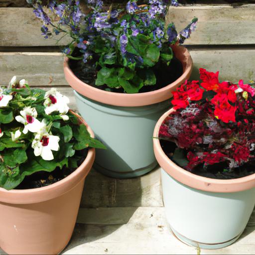 Tips for choosing the right three pots for summer colour