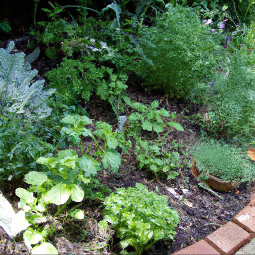 Tips for growing shade loving herbs