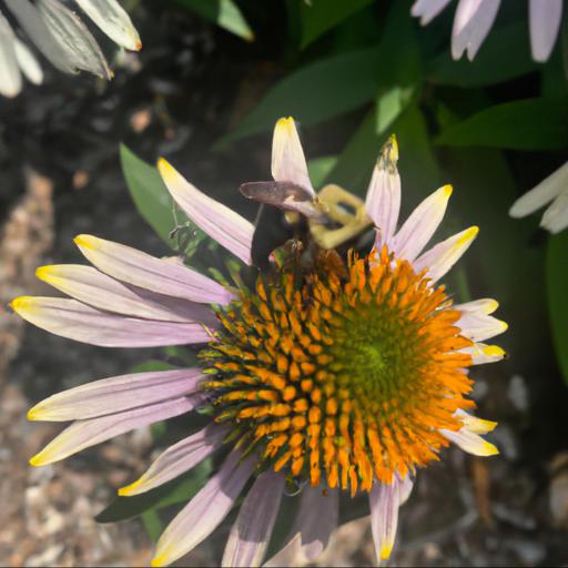 Tips for planting flowers to attract bees