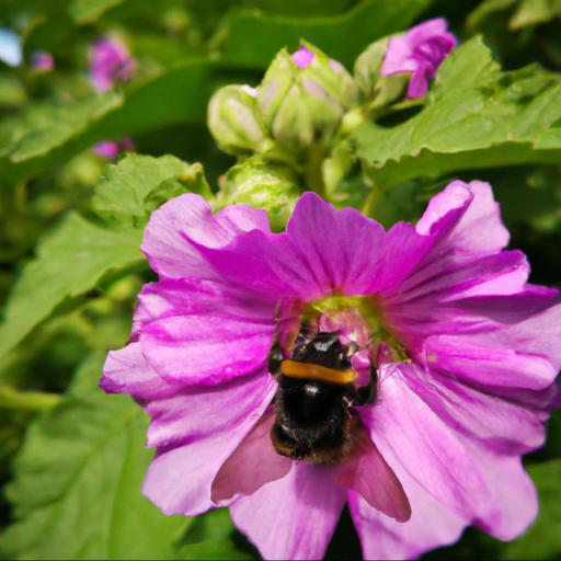 Tips for planting flowers to attract bumblebees