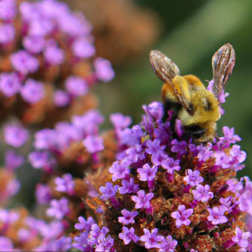 Tips for planting flowers to attract honeybees