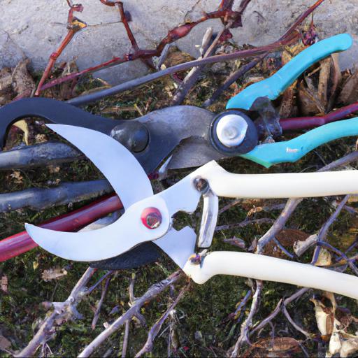 Tools and techniques for pruning