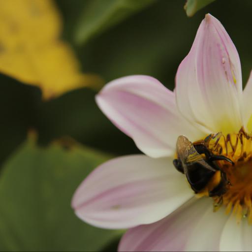 Types of flowers that attract bumblebees