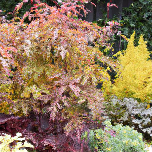 Types of shade loving plants for autumn