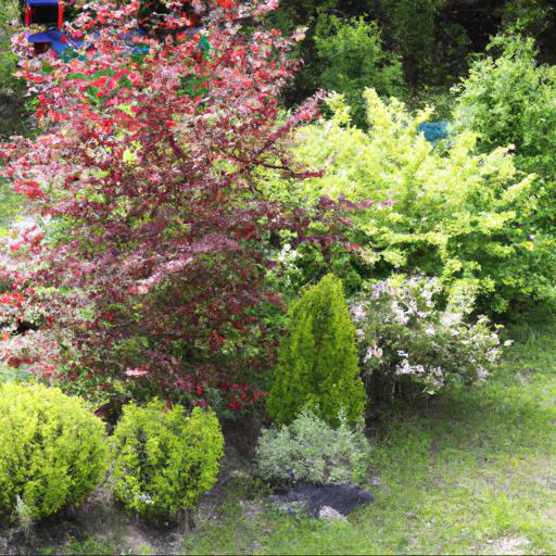 Types of shrubs that look good in may