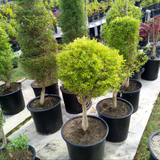 Types of small trees and shrubs suitable for heavy and clay soils