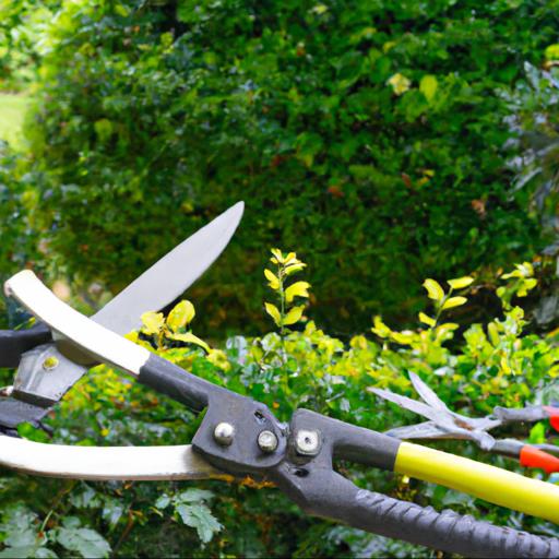 Types of tools for trimming hedges in summer