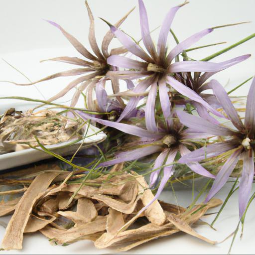 Uses of tragopogon porrifolius